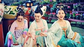 ▲妃子。（示意圖／翻攝自百度百科）