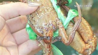 螃蟹關鍵挑法！殼硬肉多、殼尖黃色有蟹膏