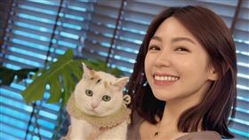 陳志強 曾智希（圖／翻攝臉書）