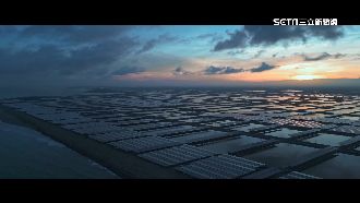 漁電雙贏！台最大漁電共生場域啟用滿週年