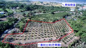 芒果園,查封,酒駕,罰款（圖／翻攝自法務部執行署花蓮分署網站）