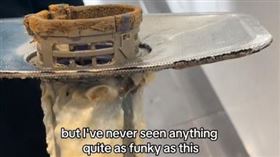  洗碗機過濾器「髒到長出香菇」，超噁，居家清潔員：寧可去刷馬桶(圖／翻攝自TikTok)