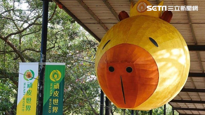 超巨水豚燈籠呆萌曝光　遊客瘋搶打卡拍照