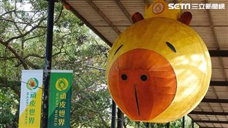 超巨水豚燈籠呆萌曝光　遊客瘋搶打卡拍照