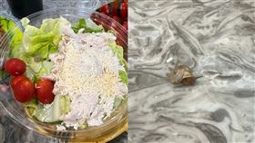 女網友在生菜沙拉中發現活蝸牛。（圖／翻攝自「爆料公社二社」）