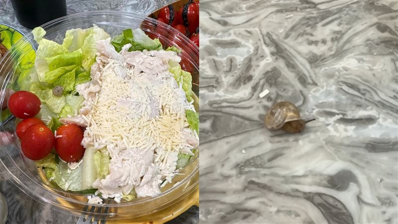 好市多生菜沙拉有蝸牛在爬！女會員嚇壞了