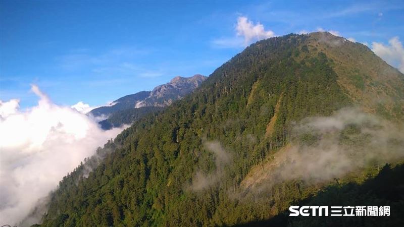 男撿2支熊鷹羽毛上網賣遭檢舉　下場出爐