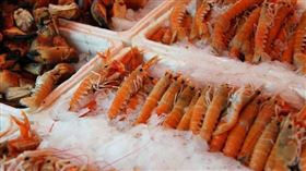 蝦、蝦子（示意圖／翻攝自pixabay）

