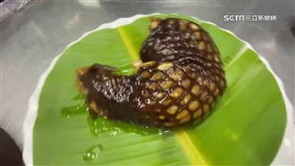 紅燒「帶皮鱷魚腿」成品照驚人　客曝口感