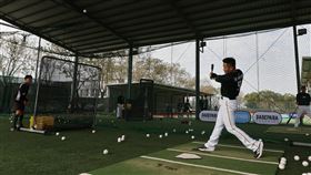 ▲台鋼春訓大王王柏融領軍，目前不包括還沒報到的洋將，已經有66名選手參加。（圖／翻攝自台鋼雄鷹 TSG HAWK官方粉絲專頁）