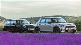 ▲MINI Mayfield Edition薰衣草紫色調特仕版。（圖／MINI）