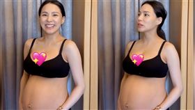 熊熊（圖／翻攝自熊熊IG）