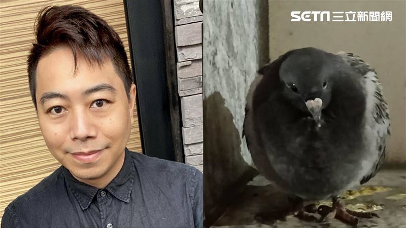 獨／小鳥築巢趕不走？他曝四大超派攻擊！