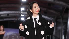 金鐘58節目類紅毯《哈囉！毛小孩》陶晶瑩。（圖／記者邱榮吉、楊澍攝影）