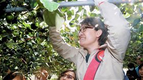 副總統當選人蕭美琴今（22）日也在民進黨立委邱議瑩陪同下，前往高雄大社的果園體驗採棗子。(圖/翻攝蕭美琴臉書)