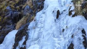 漸進式寒潮來襲　清境羊禦寒、武嶺客等雪