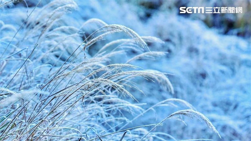 寒流來襲！大雪山入夜後有機會降雪