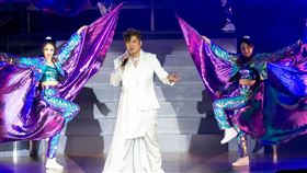 楊哲圓夢開演唱會。（圖／豪記唱片 提供）