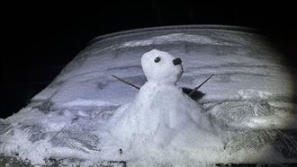 直擊！尖石宇老「雨夾冰霰」變身銀白世界