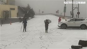 寒流發威！合歡山冰霰灑白霜　湧賞雪車潮