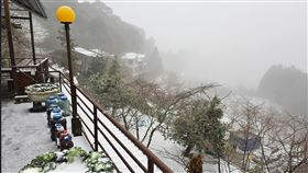 寒流,拉拉山,桃園,復興區,停班課,