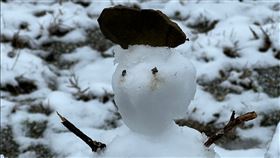 新北,三峽,熊空,飄雪,