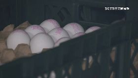 v天冷蛋價漲1200