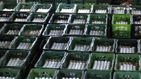 v天冷蛋價漲1200