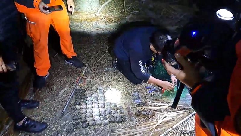寒流夜闖保育區　猛男下海捕龍蝦螃蟹GG了