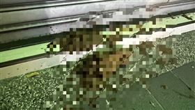 新北,中和,美容,護膚,黑衣人,潑屎,大便,