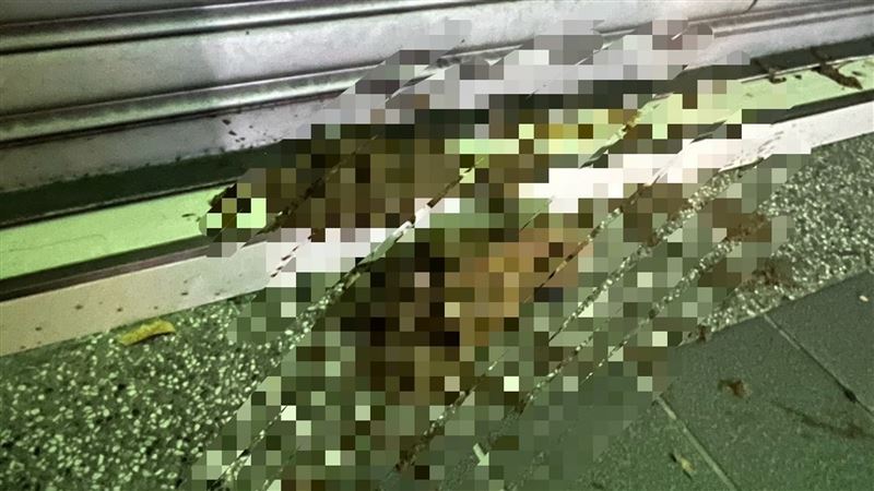 上不到美容課對護膚店潑屎　新北女下場曝