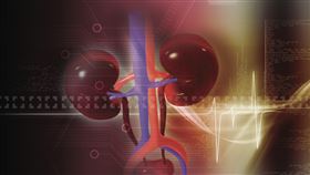 腎臟 洗腎https://www.flickr.com/photos/tareqsalahuddin/7273436246/in/photolist-c5Jgcd-dt6u8-TU2Hxa-bQj6Zk-6csKi-sY6iP-9VQ2q2-4pMPg6-qKX1pr-iYdhU-3FA1-q6BBhe-7DhkKJ-7DdvvK-gNk9-i2mJ-9qG5d3-gHZV-gJ2j-i2js-9