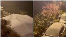 高雄,茂林,情人谷,下雪,謠言