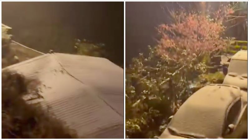 茂林情人谷降雪片瘋傳　真相曝光網傻眼了