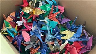 割頸受害生身障姊今生日　常問1句惹鼻酸