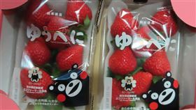 0109草莓
