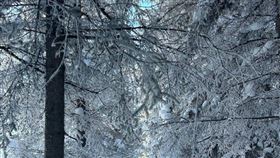 中國近期寒流襲捲南方，湖南遭遇到大暴雪災害。（圖／翻攝自湖南城市學院團委學生會微博）