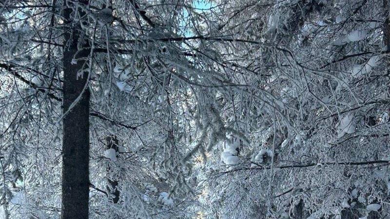 中國湖南大暴雪　1萬多人受災