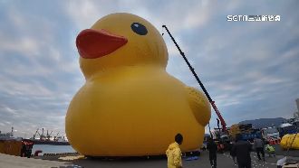 睽違十年！黃色小鴨回高雄「一次來2隻」