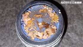 蓮蓬頭卡「黃色結晶」高雄人怨每週都要清