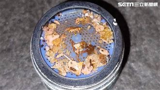 蓮蓬頭卡「黃色結晶」高雄人怨每週都要清