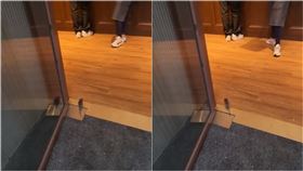 超哥餐廳「超甲組」老鼠闖入（圖／翻攝自PTT）