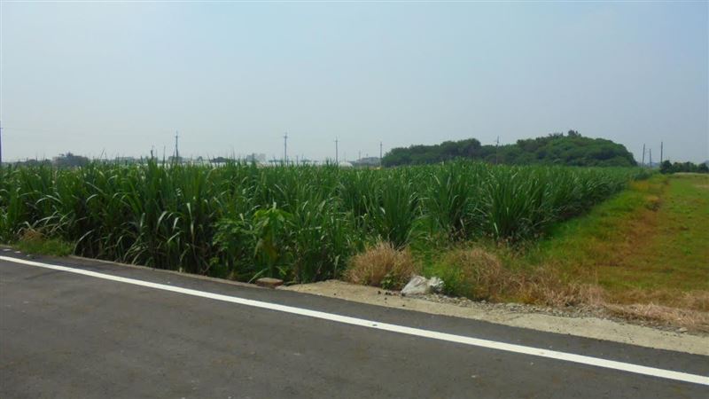 新北男酒駕拒測欠12萬　分署拍賣他土地