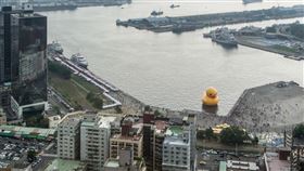 黃色小鴨,2024,高雄,10年蛻變