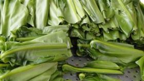 山蘇,食材,作物,蔬菜。(圖/翻攝自農委會)