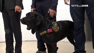 美贈首隻電子偵測犬！來台已協助破3重案
