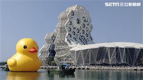 黃色小鴨,2024,高雄,10年,冬日遊樂園,蛻變