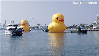 直擊！黃色小鴨再臨高雄　這次有驚喜