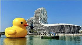 ▲黃色小鴨睽違10年再度登台（圖／翻攝自Facebook／陳其邁Chen Chi-Mai）