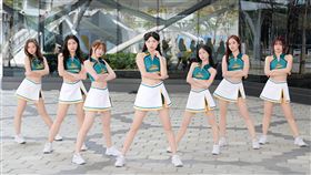 ▲Wing Stars啦啦隊27日兵分兩路，南部受邀為高雄燈會開幕日開場。（圖／台鋼集團提供）